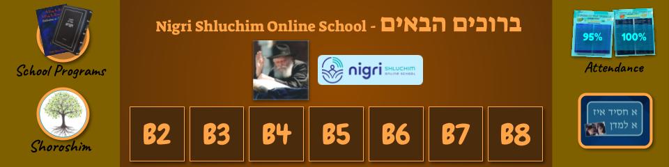 Nigri Shluchim Online School: School Programs, Shoroshim, classes B2 to B8, Attendance